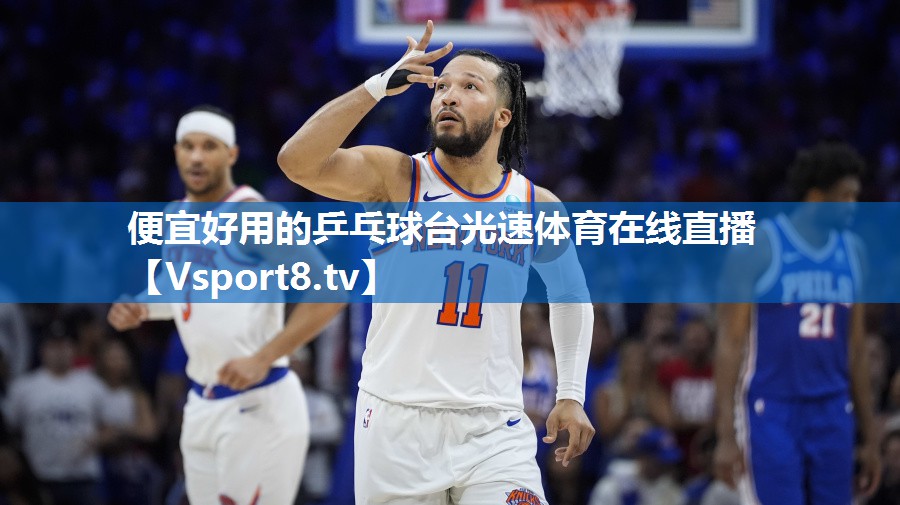 便宜好用的乒乓球台光速体育在线直播