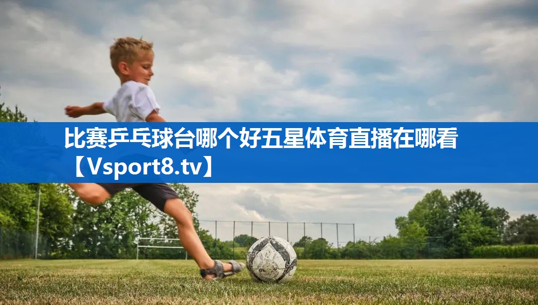 比赛乒乓球台哪个好五星体育直播在哪看