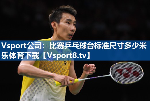 Vsport公司：比赛乒乓球台标准尺寸多少米乐体育下载