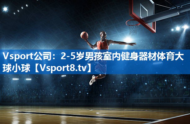 Vsport公司：2-5岁男孩室内健身器材体育大球小球