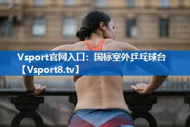 Vsport官网入口：国标室外乒乓球台
