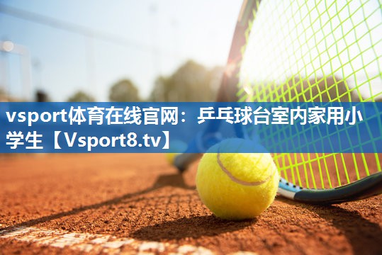 vsport体育在线官网：乒乓球台室内家用小学生
