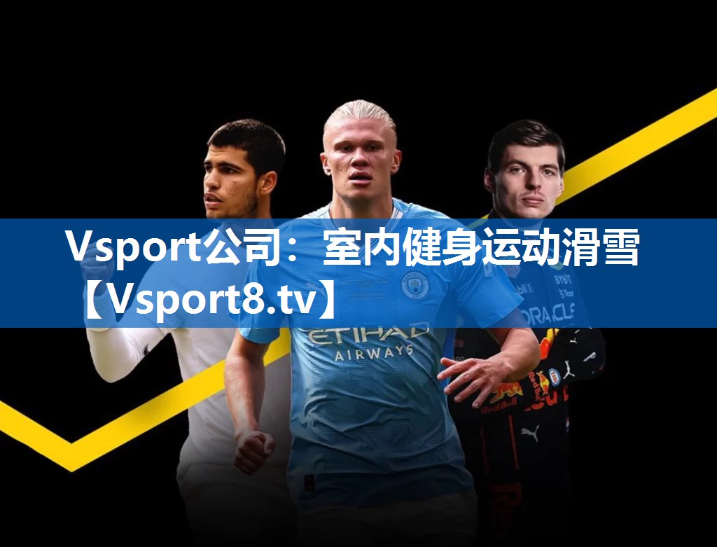 Vsport公司：室内健身运动滑雪