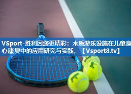 VSport-胜利因您更精彩：木质游乐设施在儿童身心康复中的应用研究与实践。