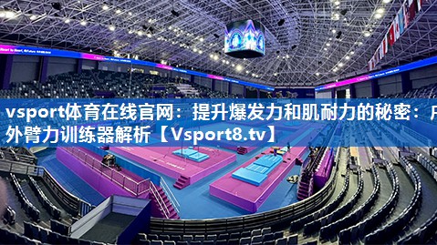 提升爆发力和肌耐力的秘密：户外臂力训练器解析