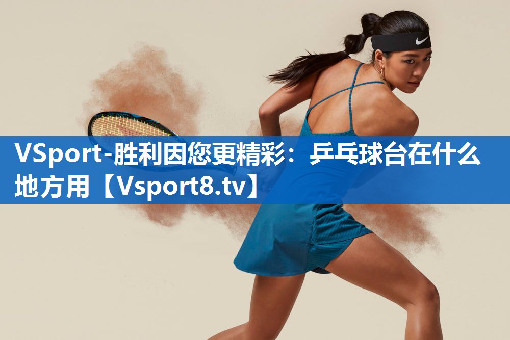 乒乓球台在什么地方用