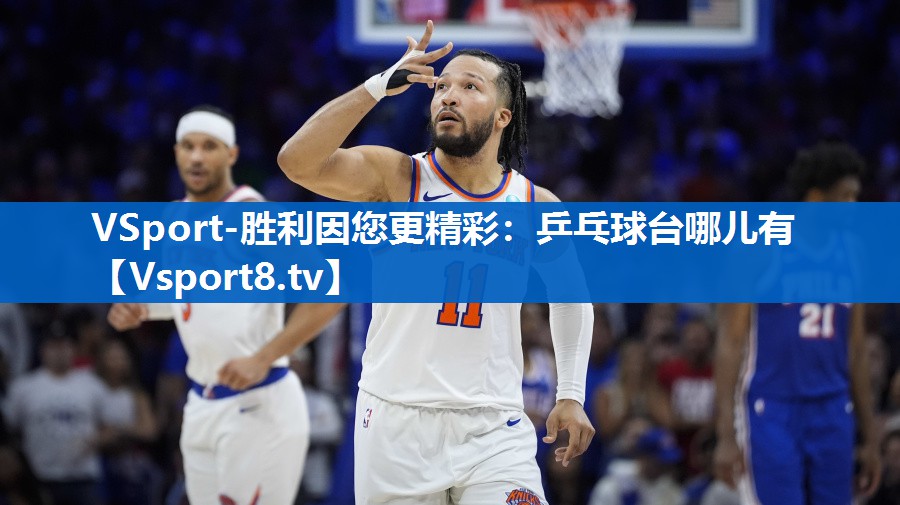 乒乓球台哪儿有