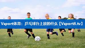 乒乓球台上放的什么 乒乓球台上放的什么